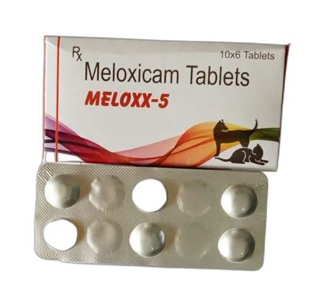 Meloxicam at Night or in the Morning