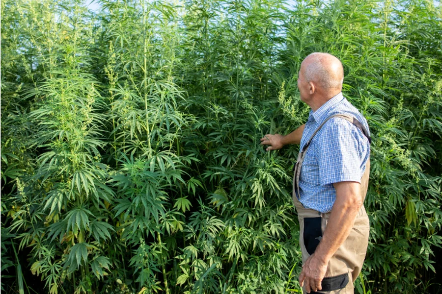 How to Store and Preserve Your Harvest Properly Harvest Properly